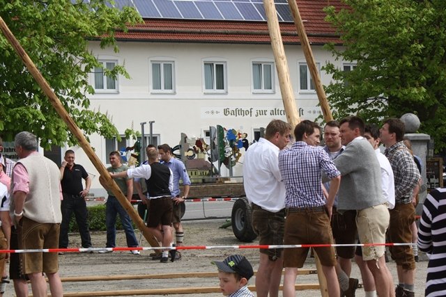 Maibaum 2013